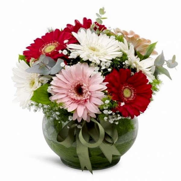  Marmaris Çiçekçiler - Cam Fanus Rengarenk Gerbera Aranjmanı