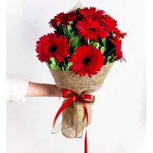 Marmaris Çiçek - Kırmızı Gerbera Buketi