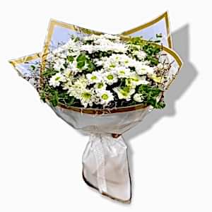  Marmaris Çiçekçi - White Daisy