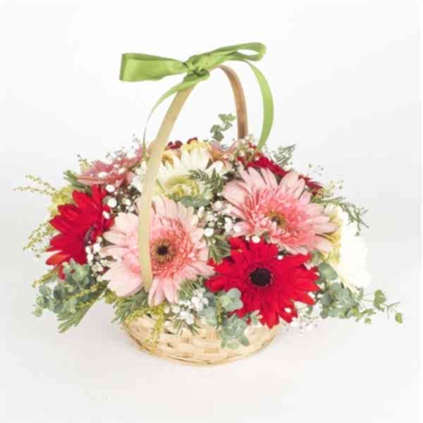  Marmaris Çiçekçiler - Baharın Renkleri Gerbera  Sepeti